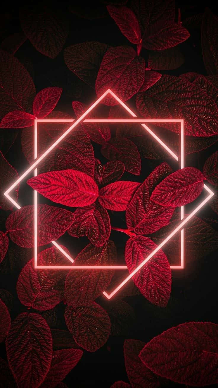 Red Leaves With A Neon Frame Wallpaper