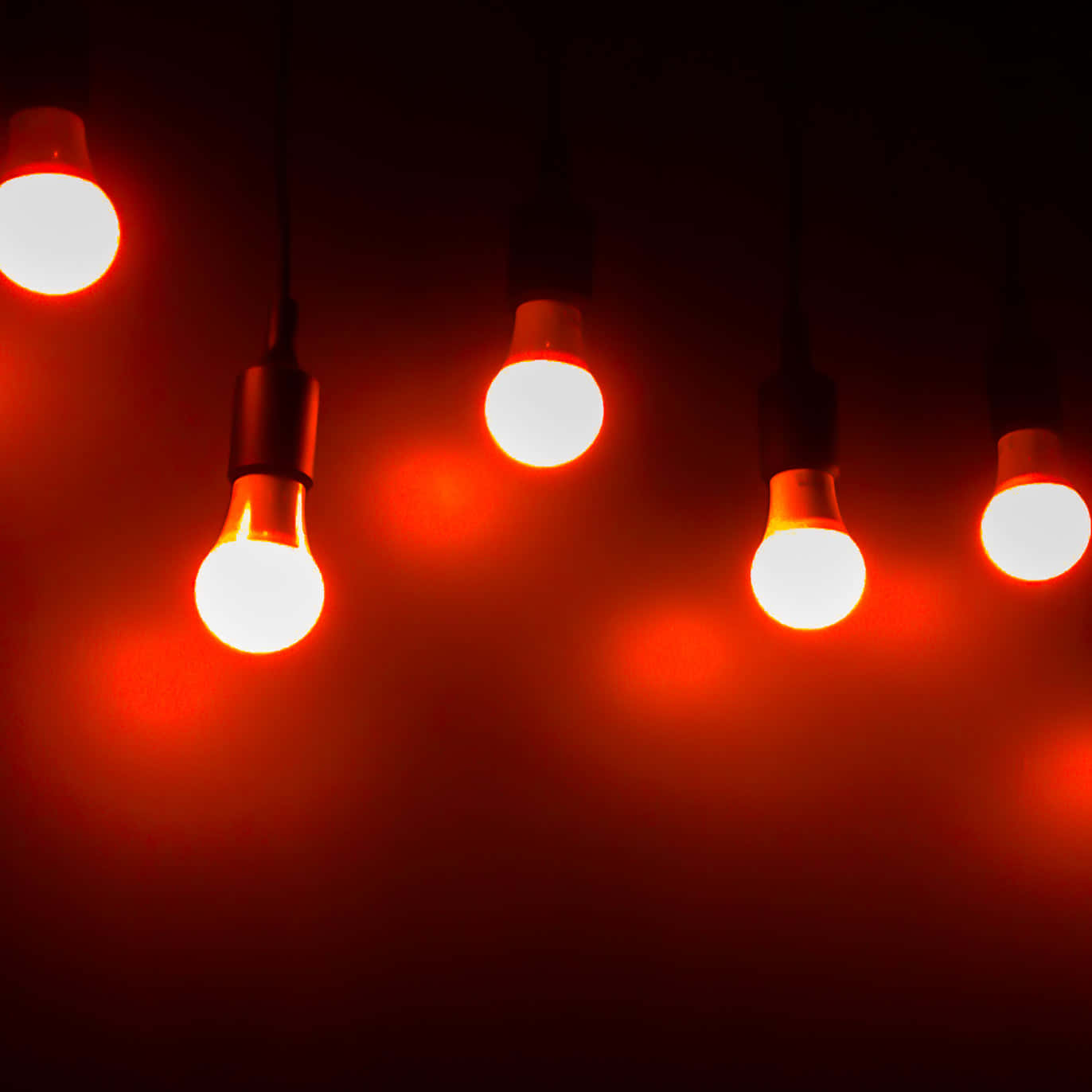 A Group Of Light Bulbs
