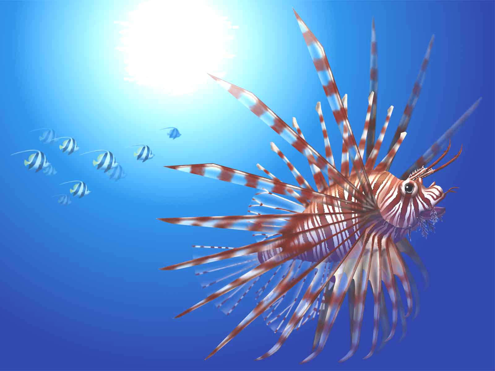 Red Lionfish Underwater Sunlight Wallpaper