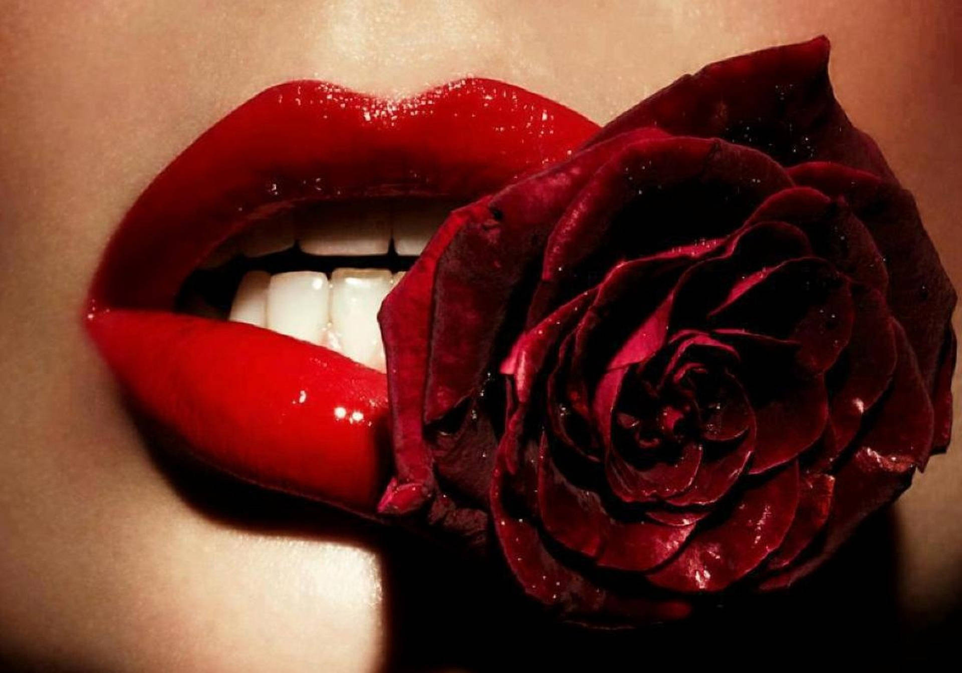 Røde læber bider en rød rose Wallpaper