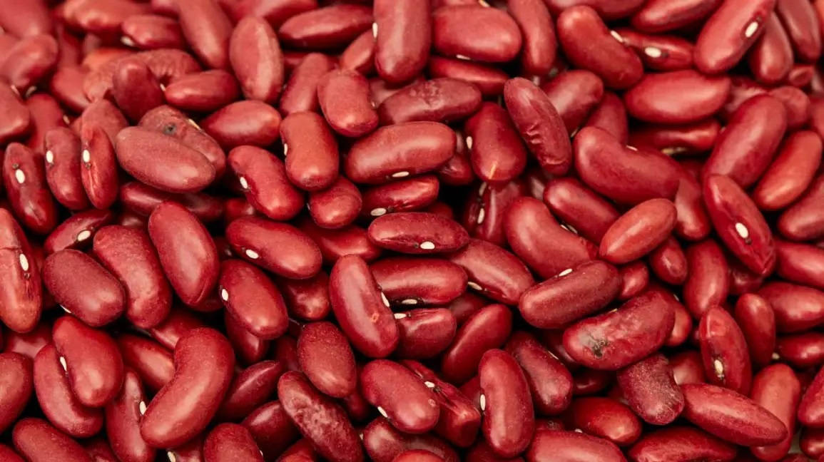 Red Liver Beans Background