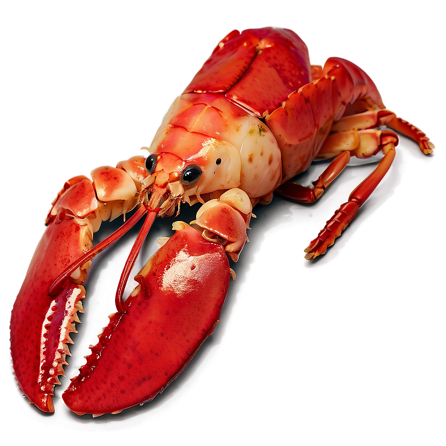 Red Lobster Culinary Png Jnw PNG