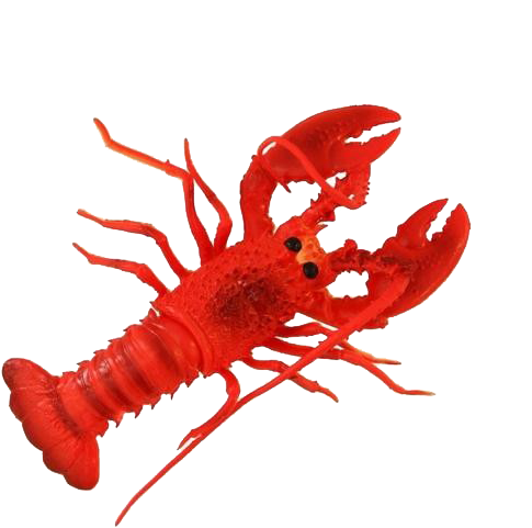 Red Lobster Illustration PNG