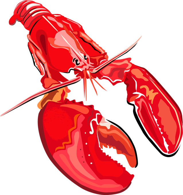 Red Lobster Illustration PNG