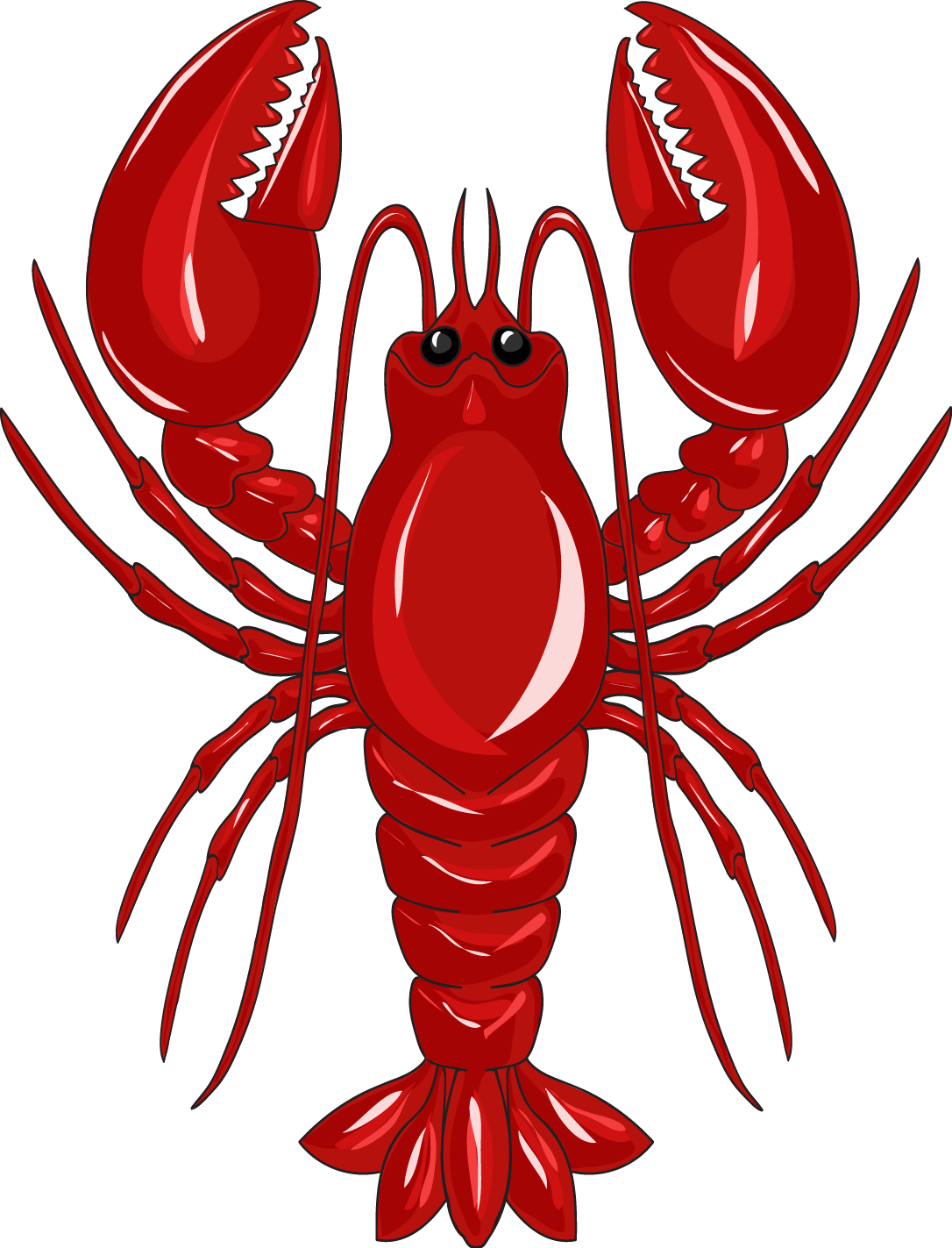 Red Lobster Illustration.png PNG