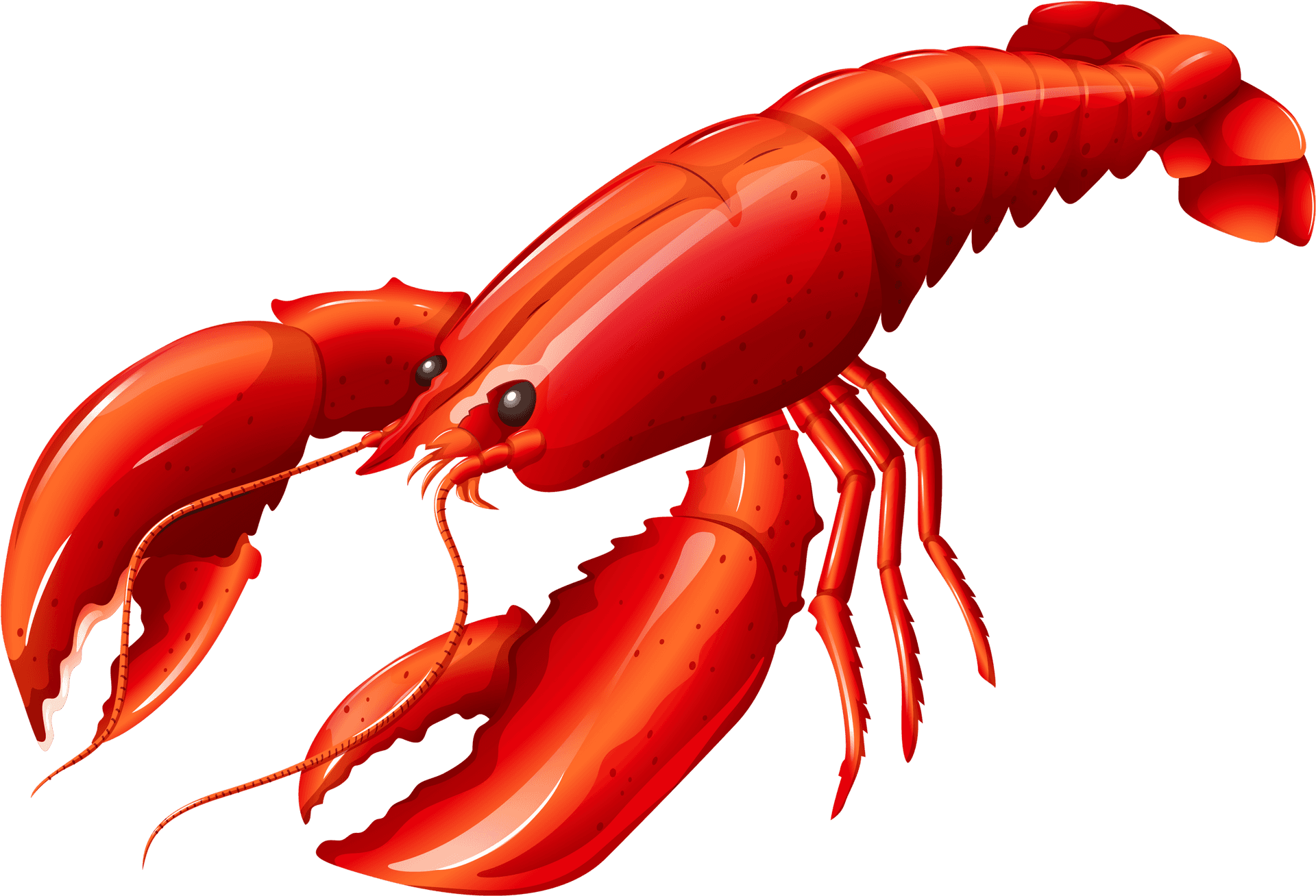 Red Lobster Illustration PNG