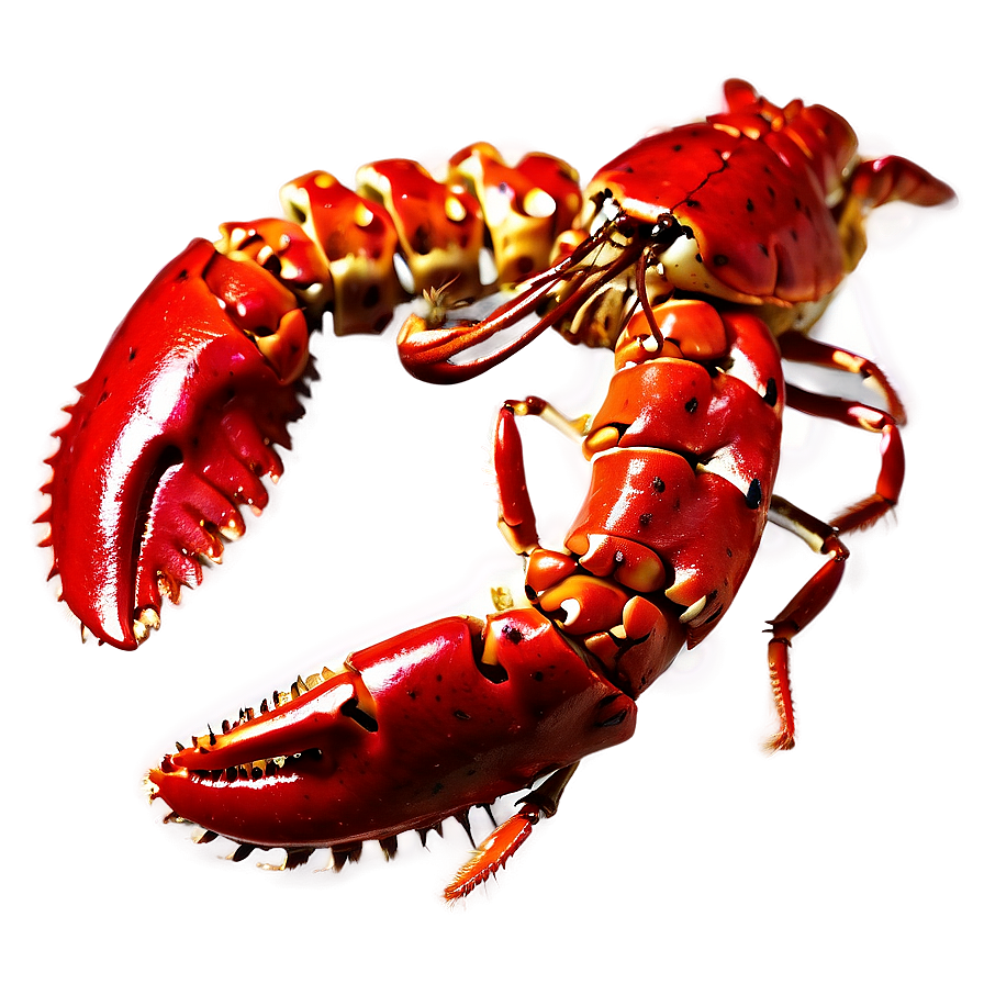 Red Lobster On White Background Png 63 PNG