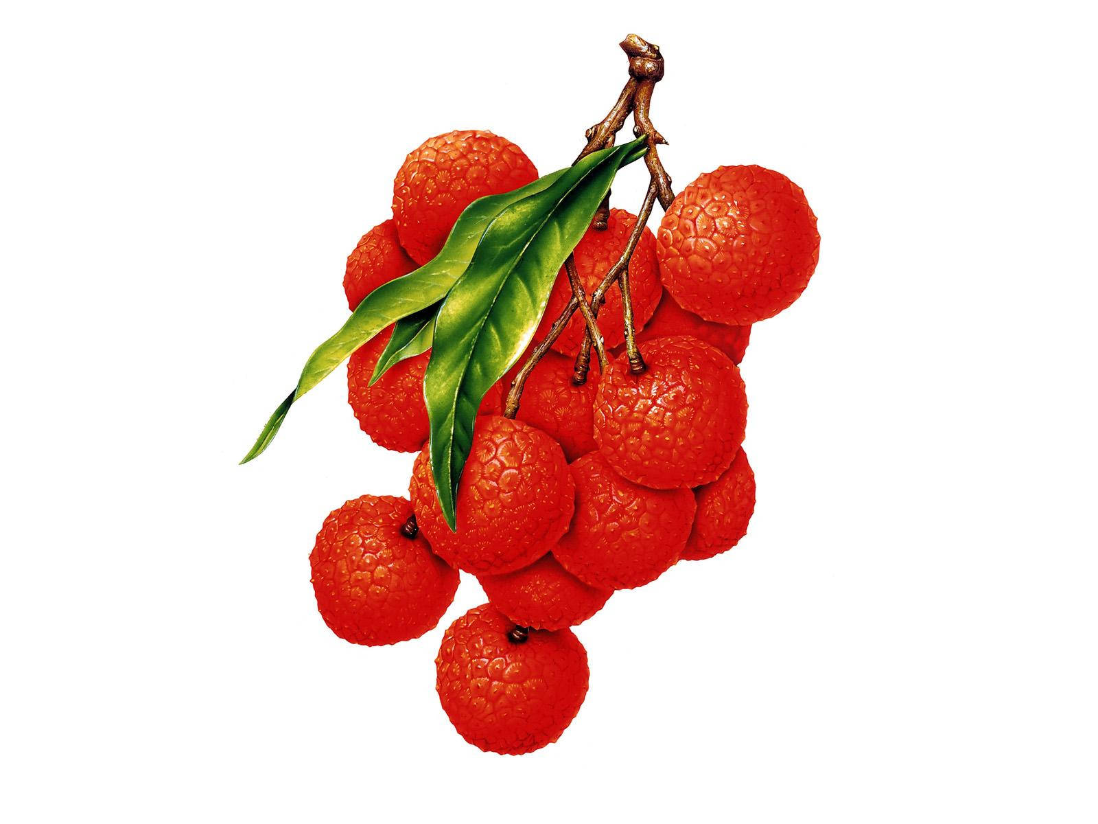 Red Lychee Fruits On Twig Illustration Wallpaper