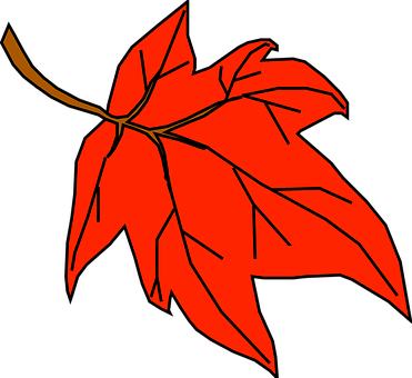Red Maple Leaf Graphic PNG