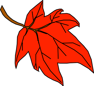 Red Maple Leaf Vector Art PNG