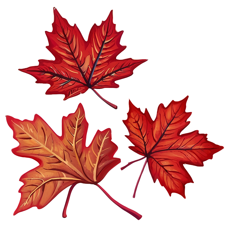 Red Maple Leaves Fall Png Qrx PNG