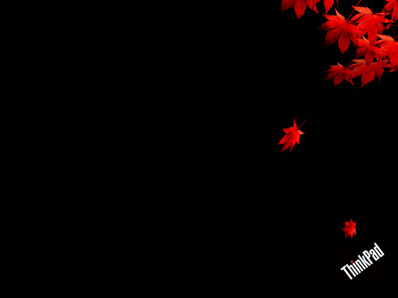 Red Maple Leaves Lenovo HD Wallpaper