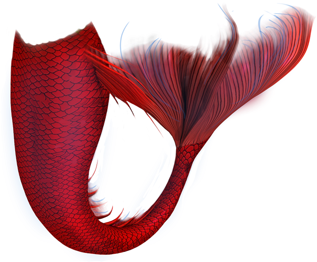 Red Mermaid Tail Artwork.png PNG