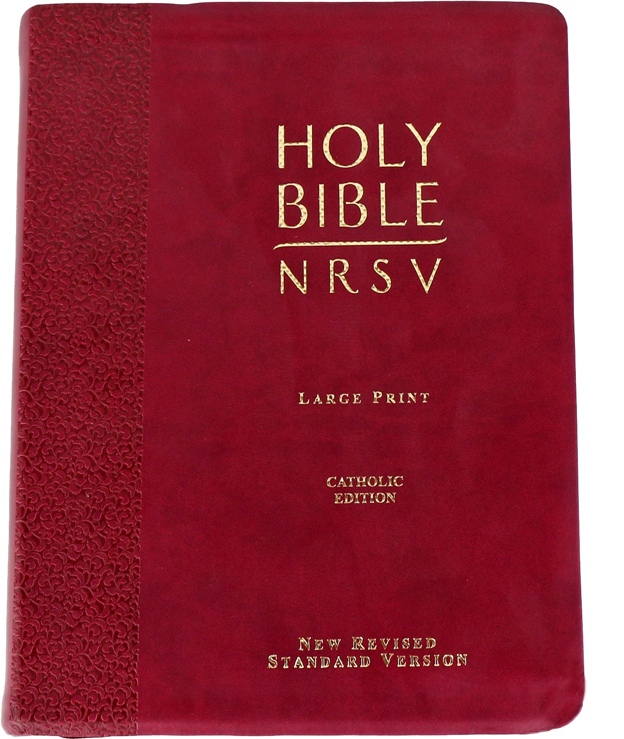 Red N R S V Catholic Edition Bible Large Print PNG