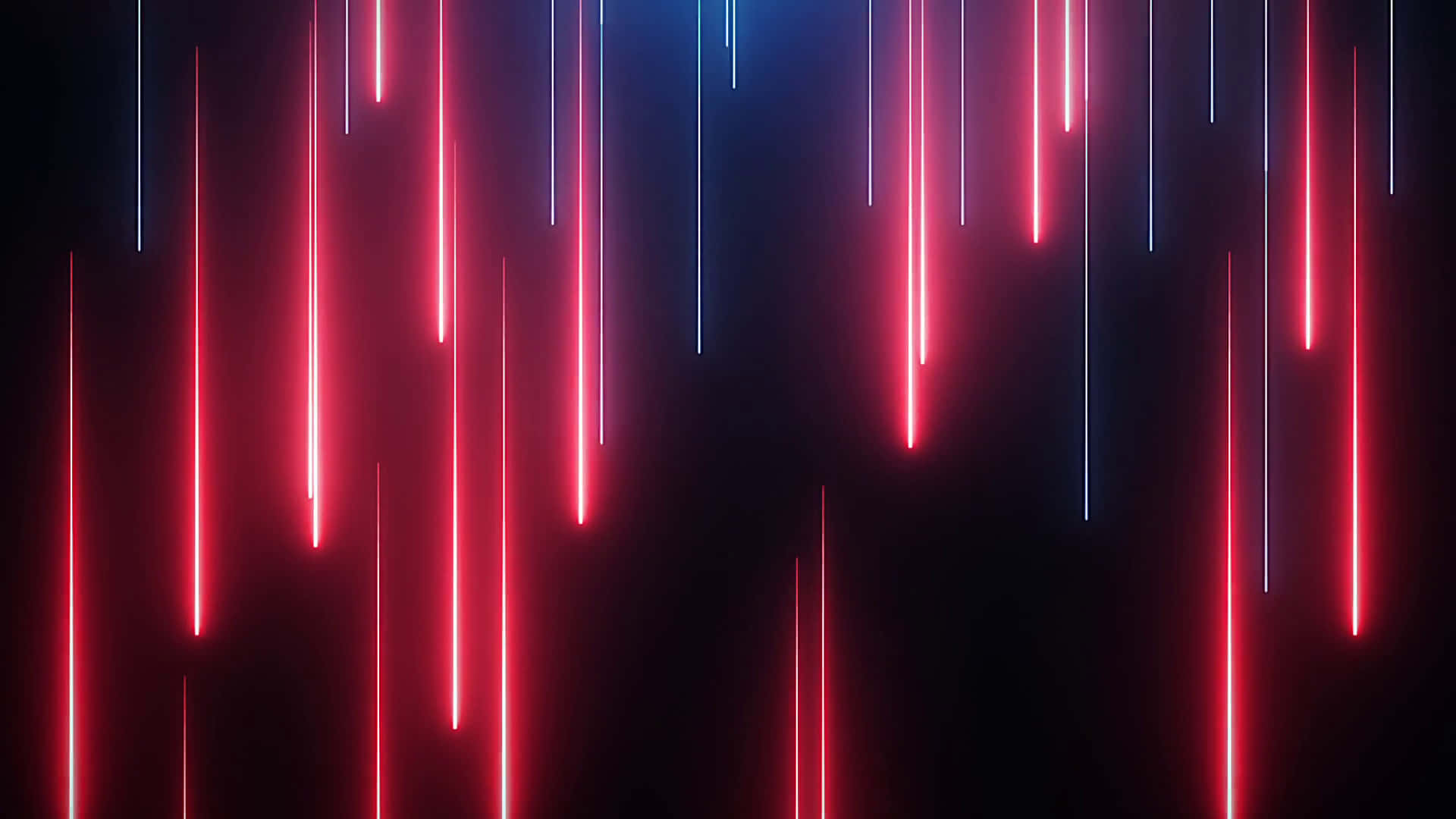 Neon Light Lines On A Black Background