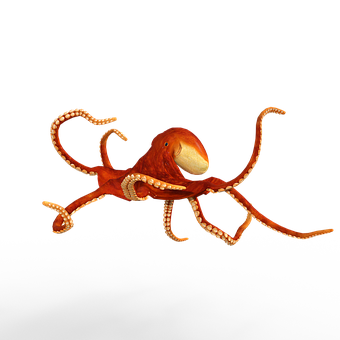 Red Octopus Black Background PNG