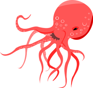 Red Octopus Illustration PNG