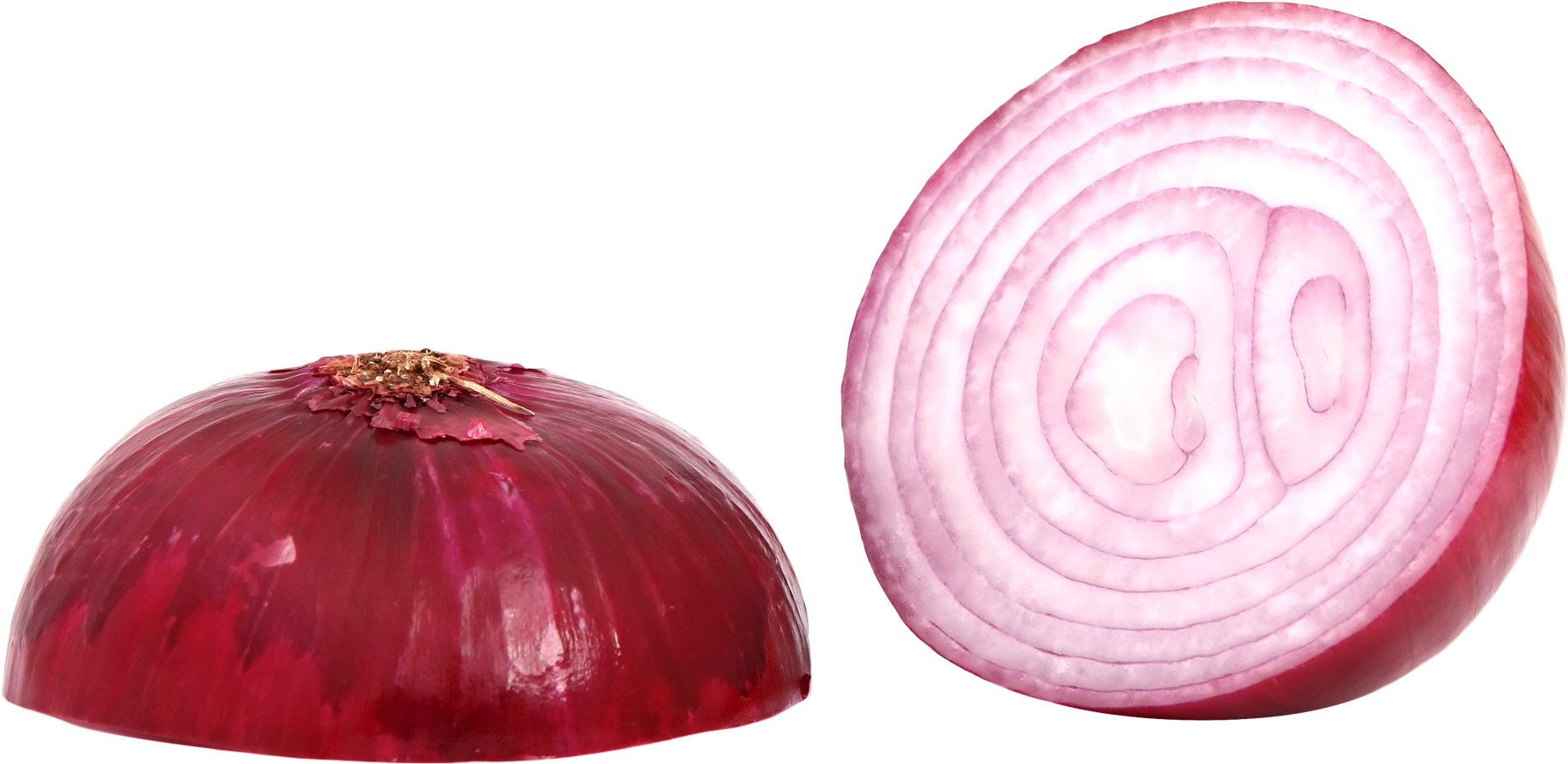 Red Onion Halfand Cross Section PNG