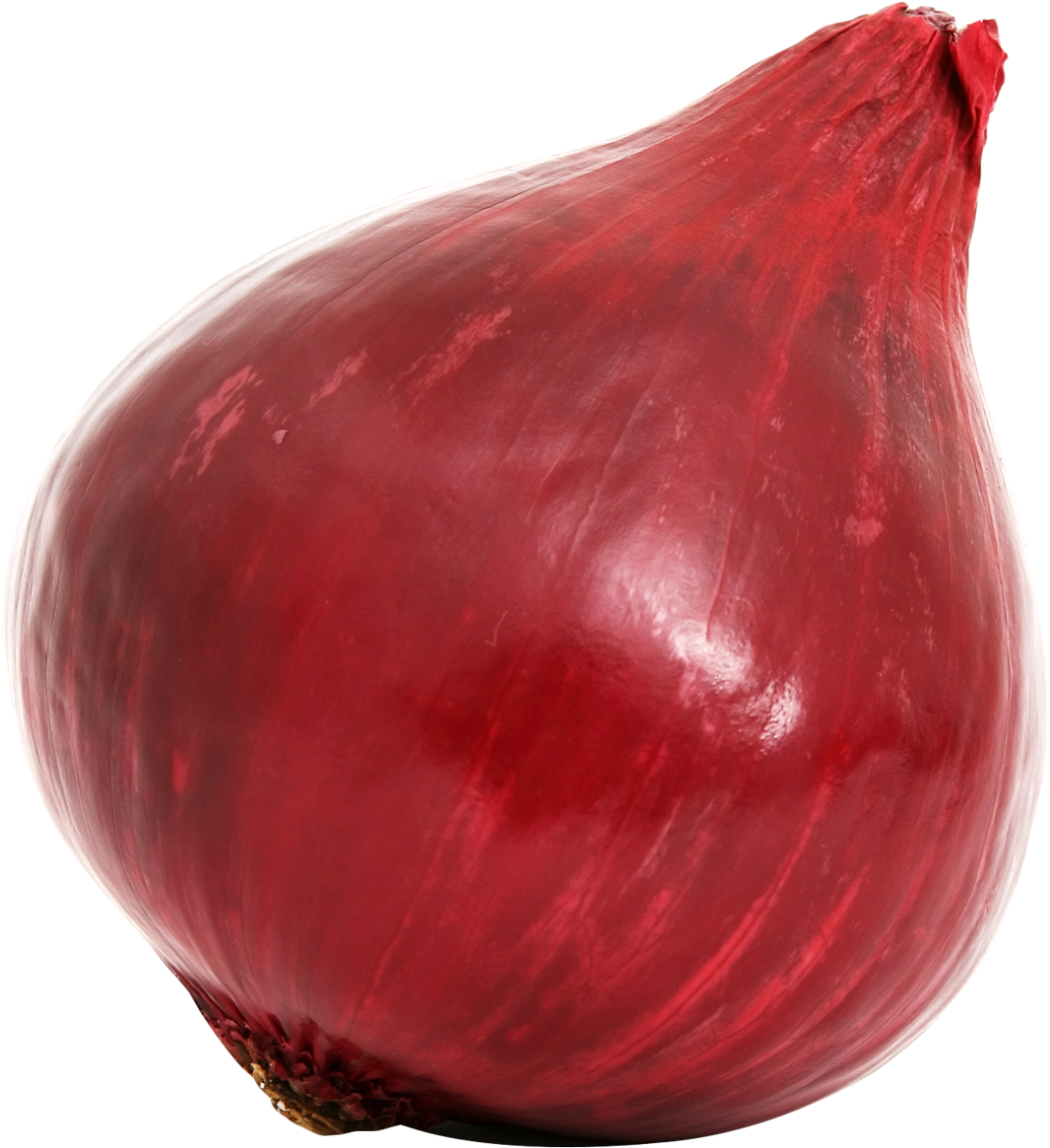 Red Onion Single Isolated Background PNG