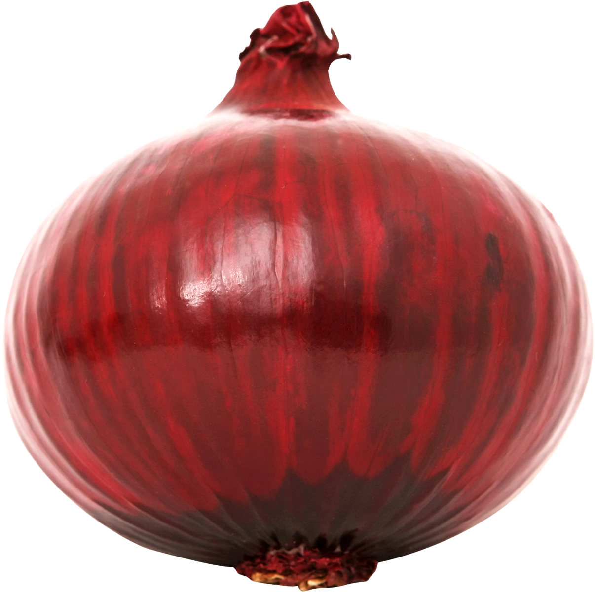 Red Onion Single Isolated PNG