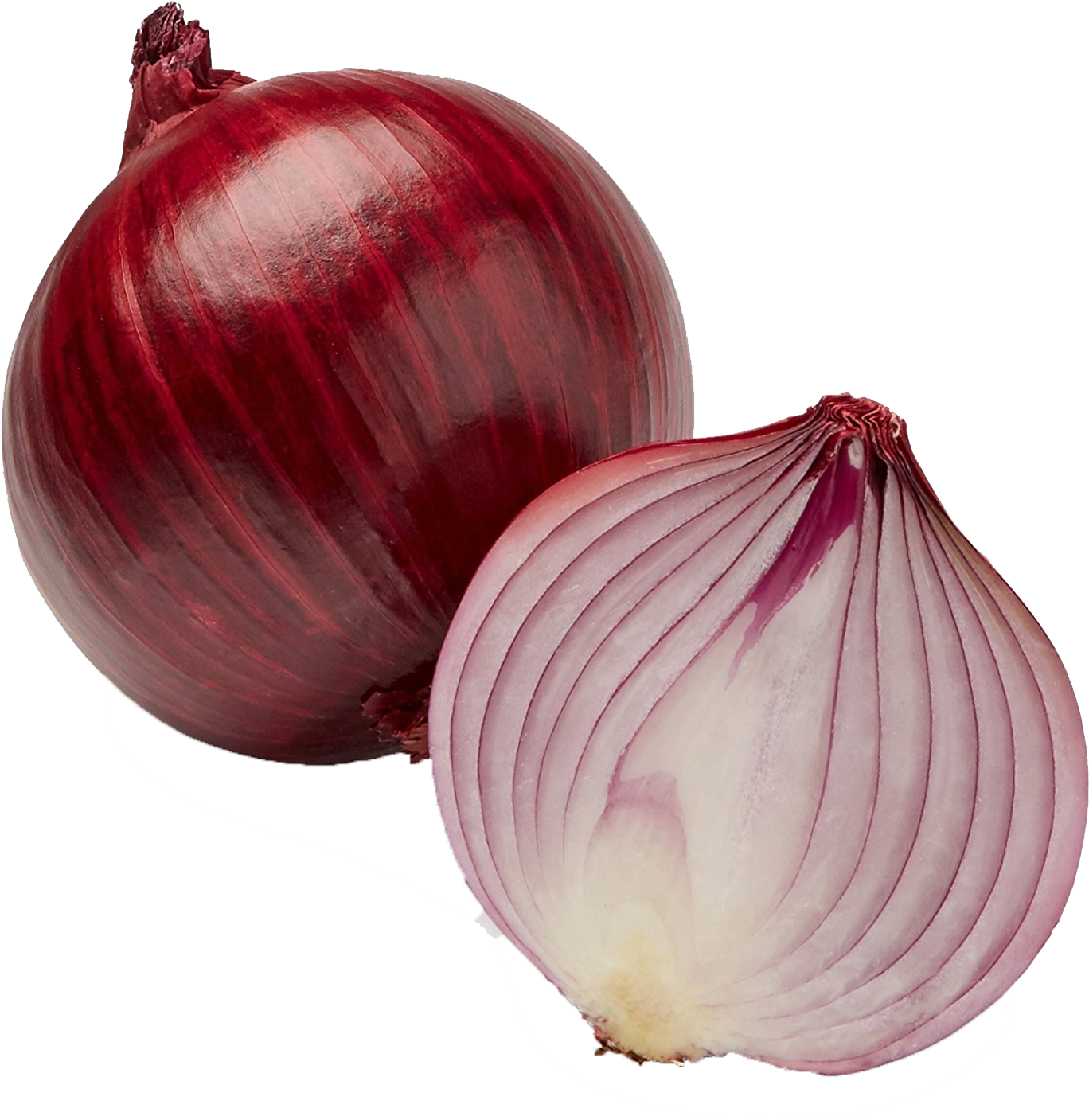 Red Onionand Half Cut PNG