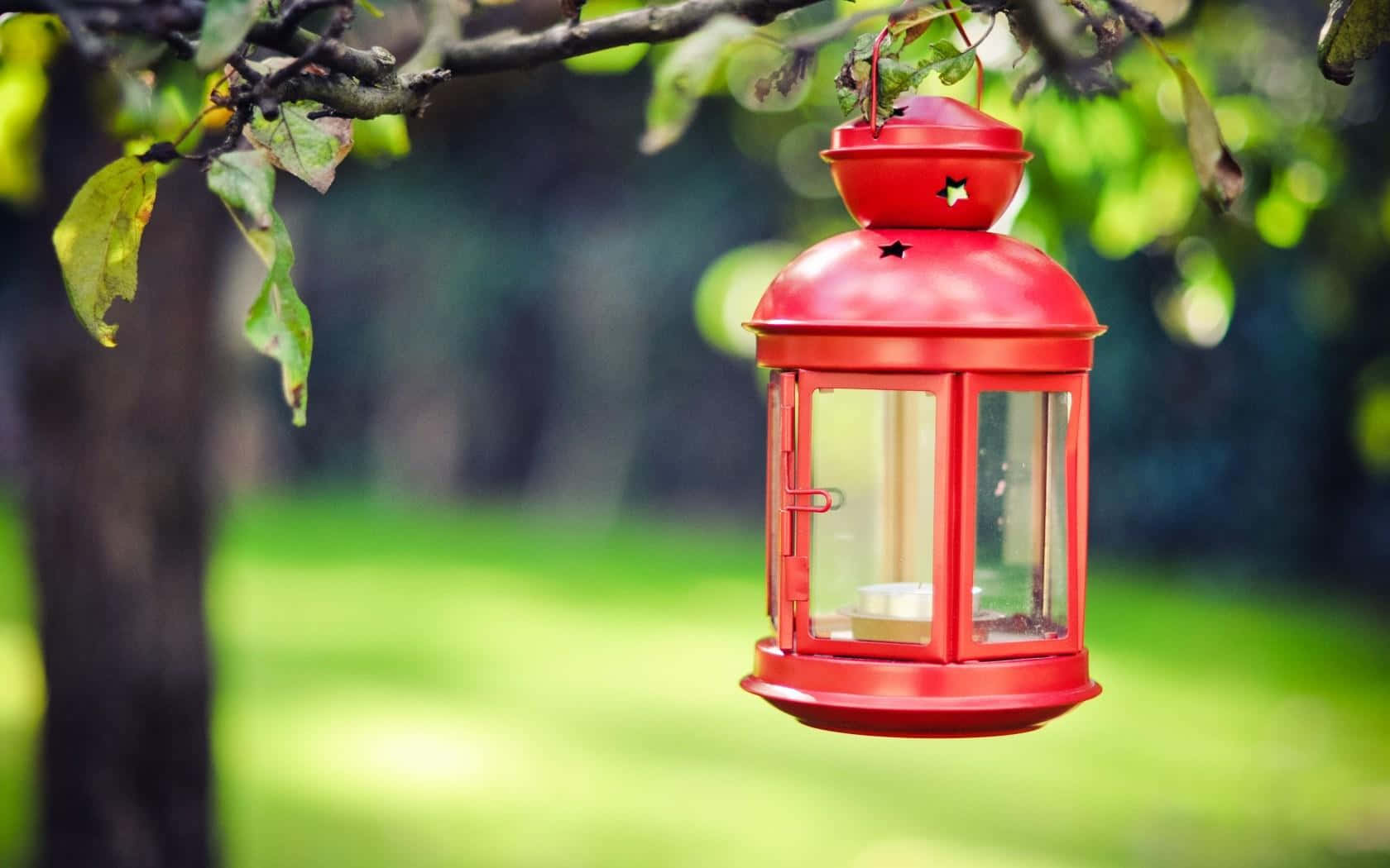 Red Outdoor Lantern Hanging From Tree Wallpaper