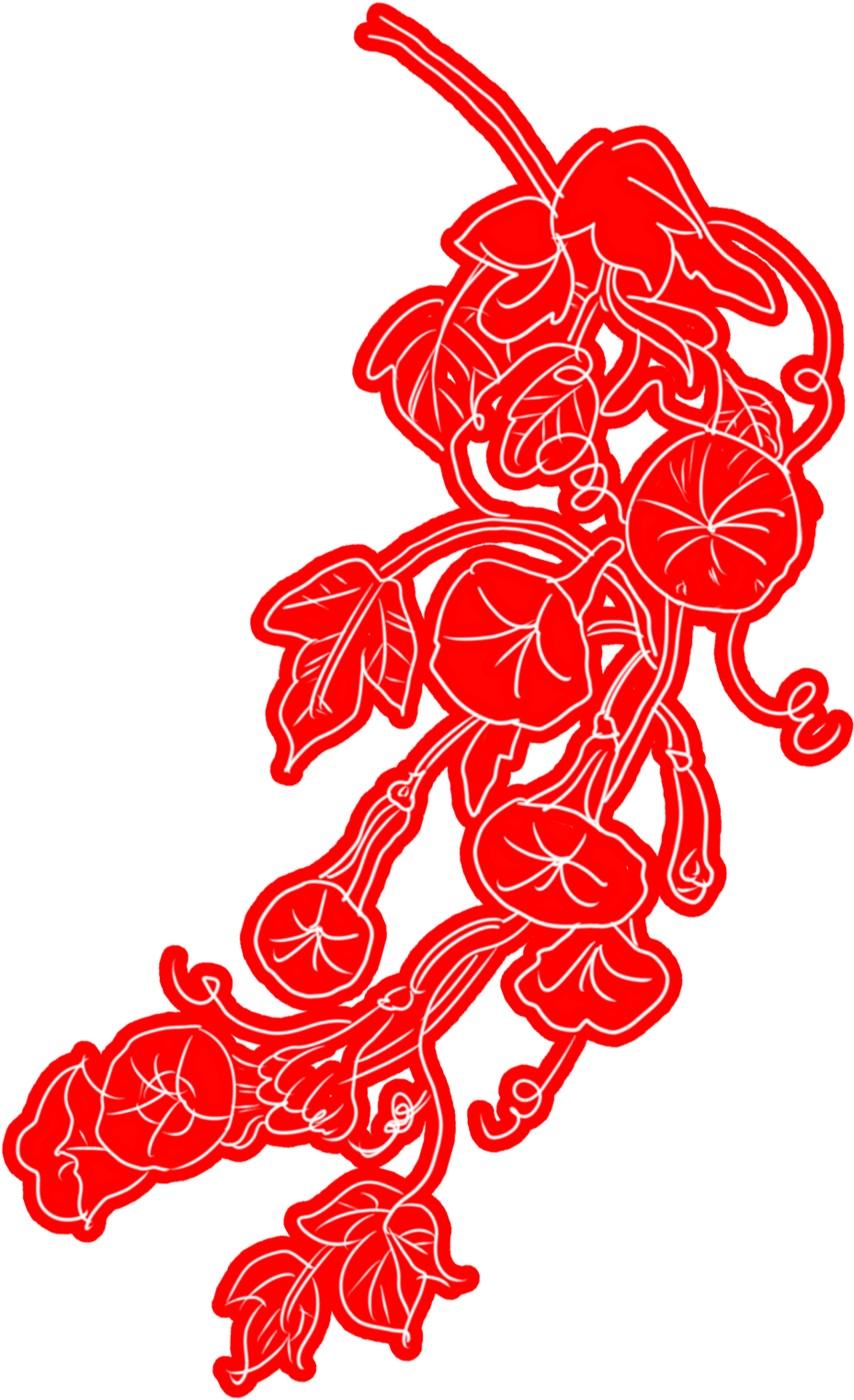 Red Outlined Morning Gloryon Blue PNG