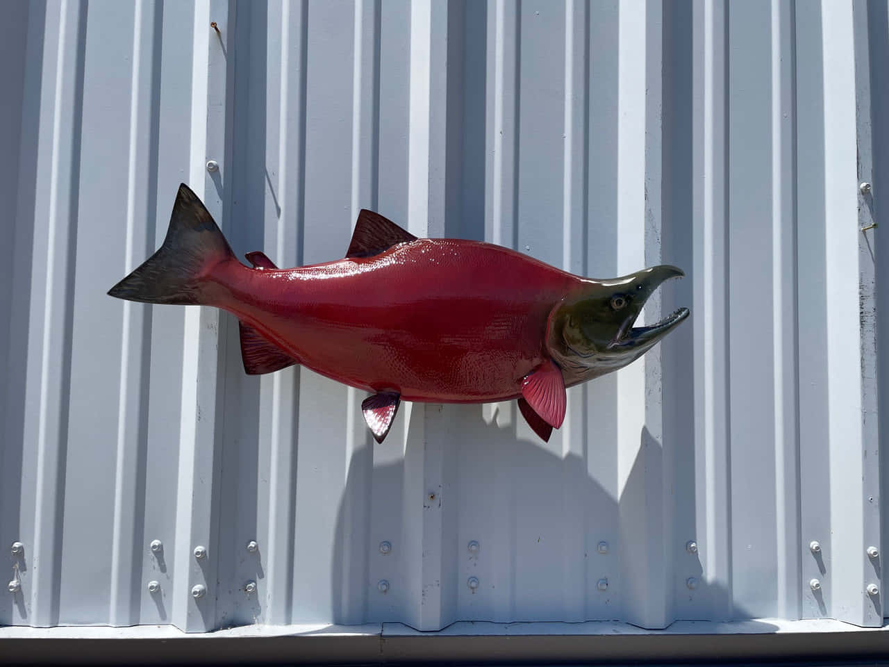 Red Pacific Salmon Sculpture Wallpaper
