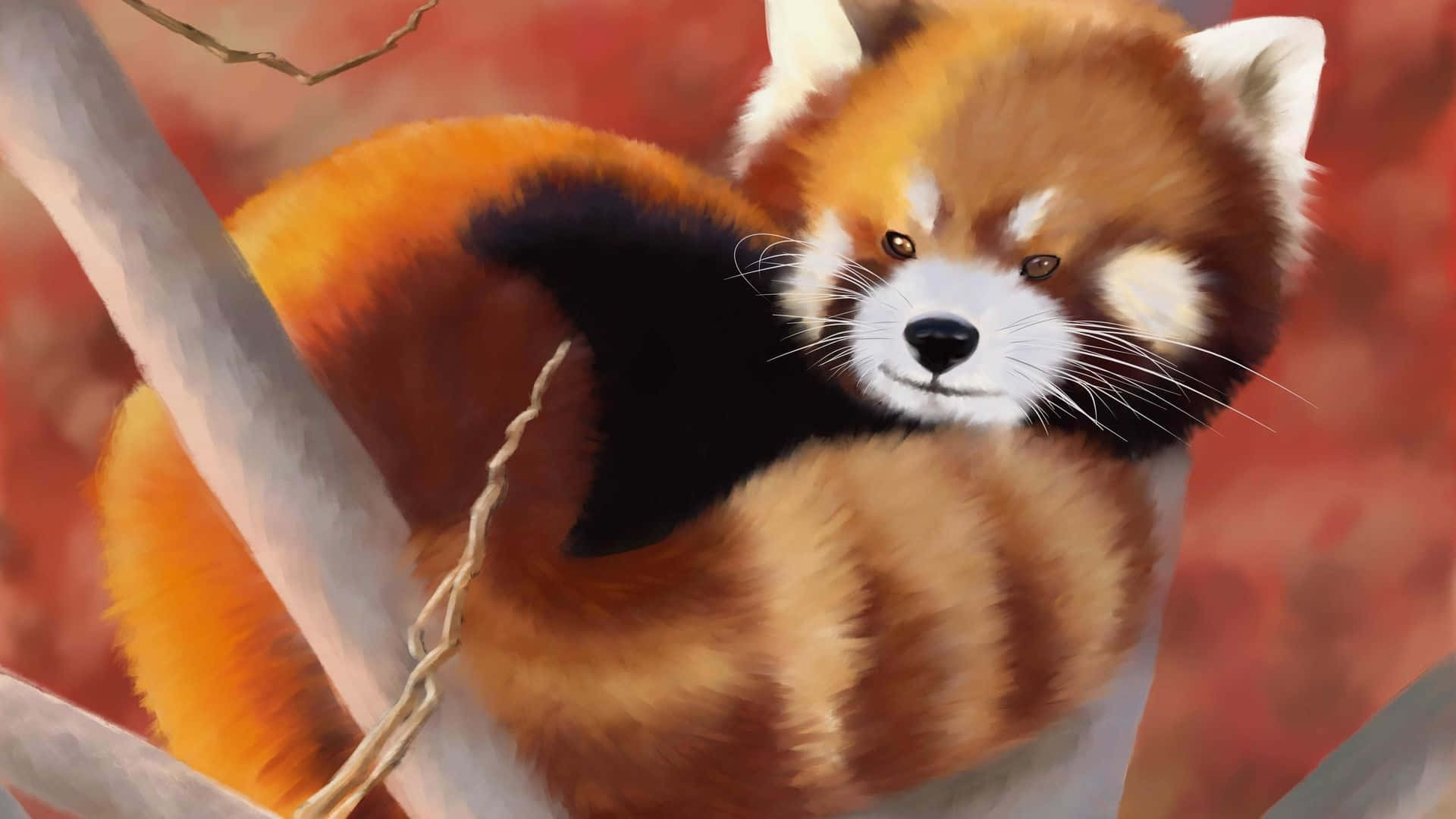 Sødrød Panda Nyder Udendørs