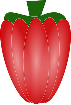 Red Paprika Vector Illustration PNG