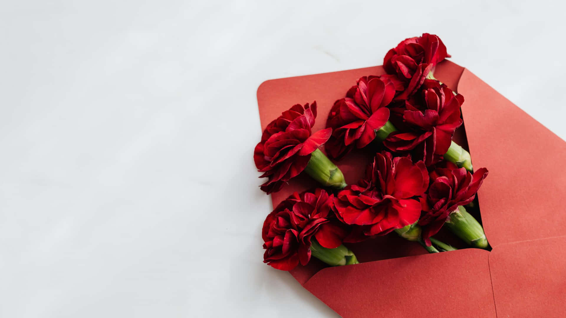 Red Carnations In An Envelope On A White Surface Wallpaper