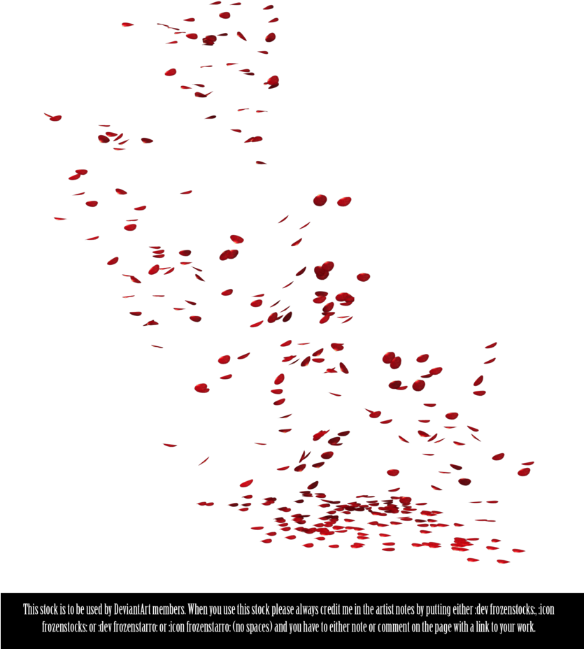 Red Petal Scatter Stock Image PNG