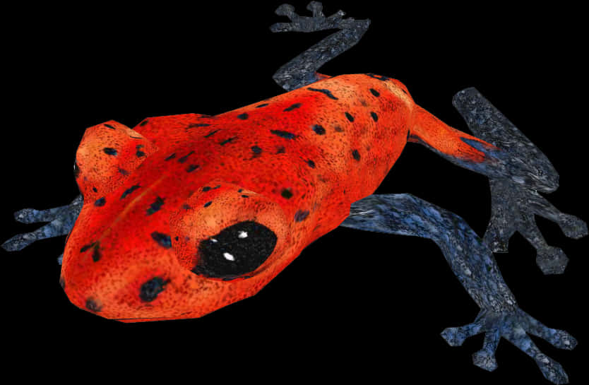 Red Poison Dart Frog Black Background PNG