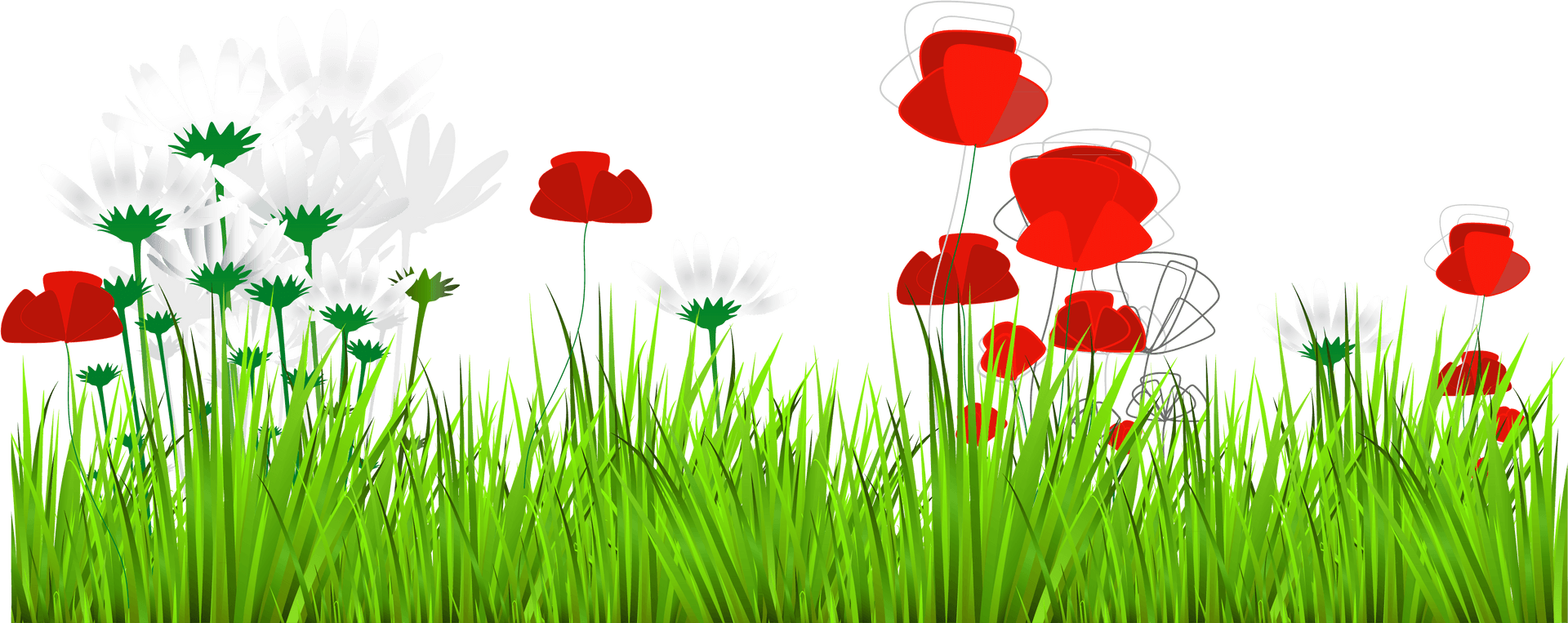 Red Poppiesand White Daisiesin Grass PNG