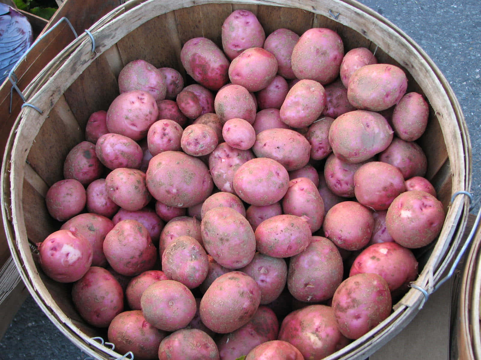 A Fresh Pile of Red Potatoes in High Definition Wallpaper