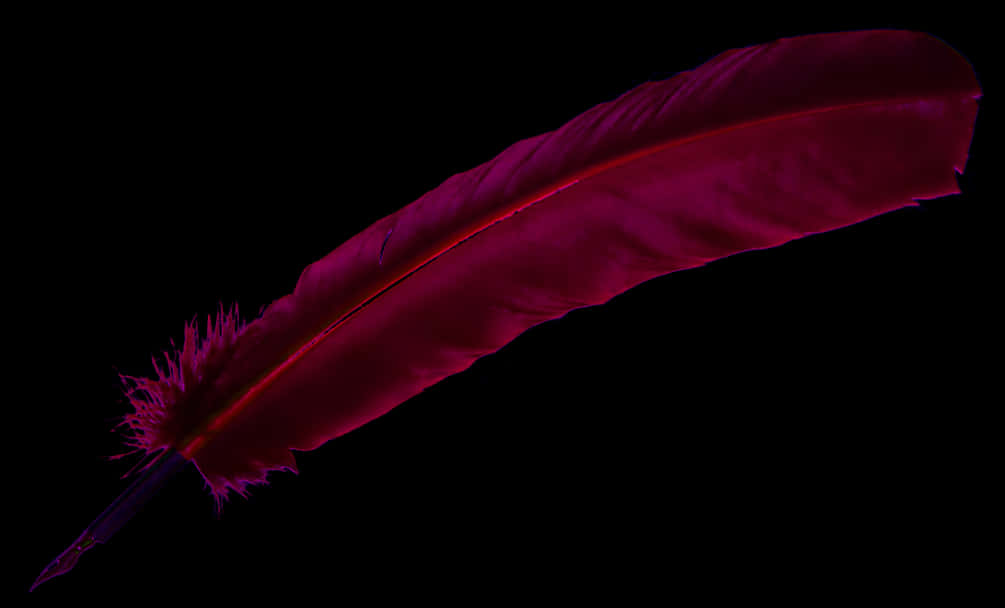 Red Quill Pen Black Background PNG