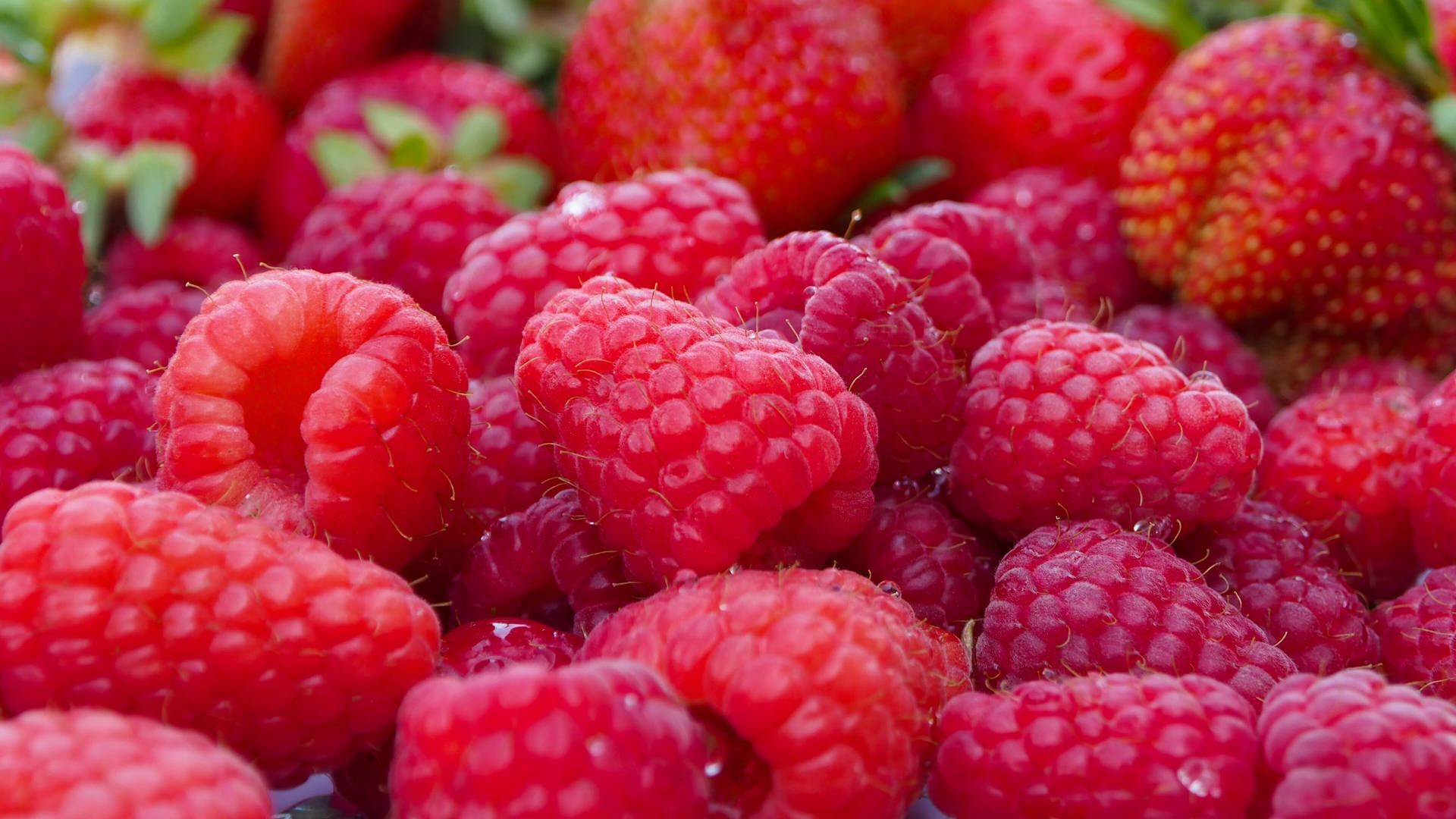 Red Raspberries And Strawberry Wallpaper