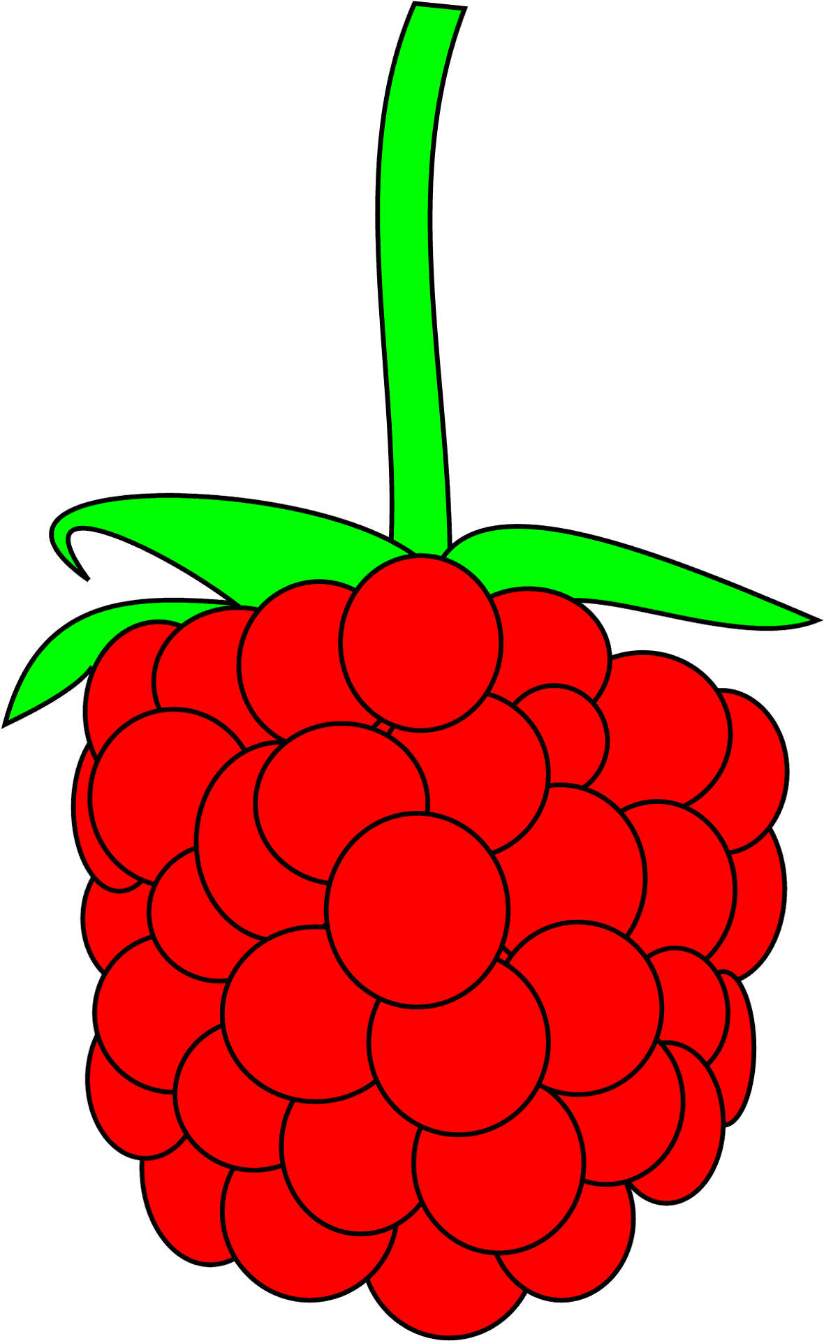 Red Raspberry Vector Illustration PNG