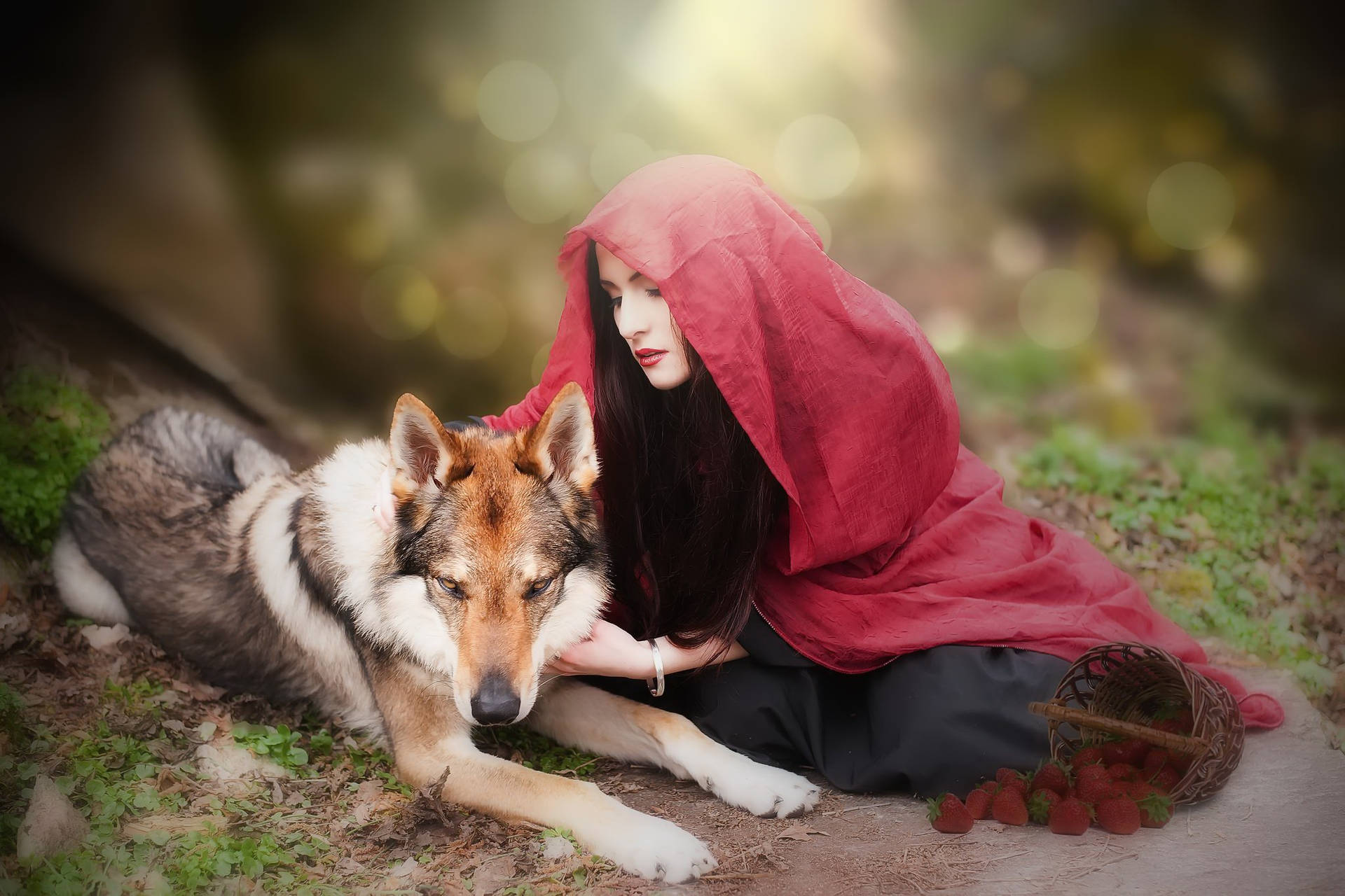 Little Red Riding Hood bonding with loyal canine companion Wallpaper