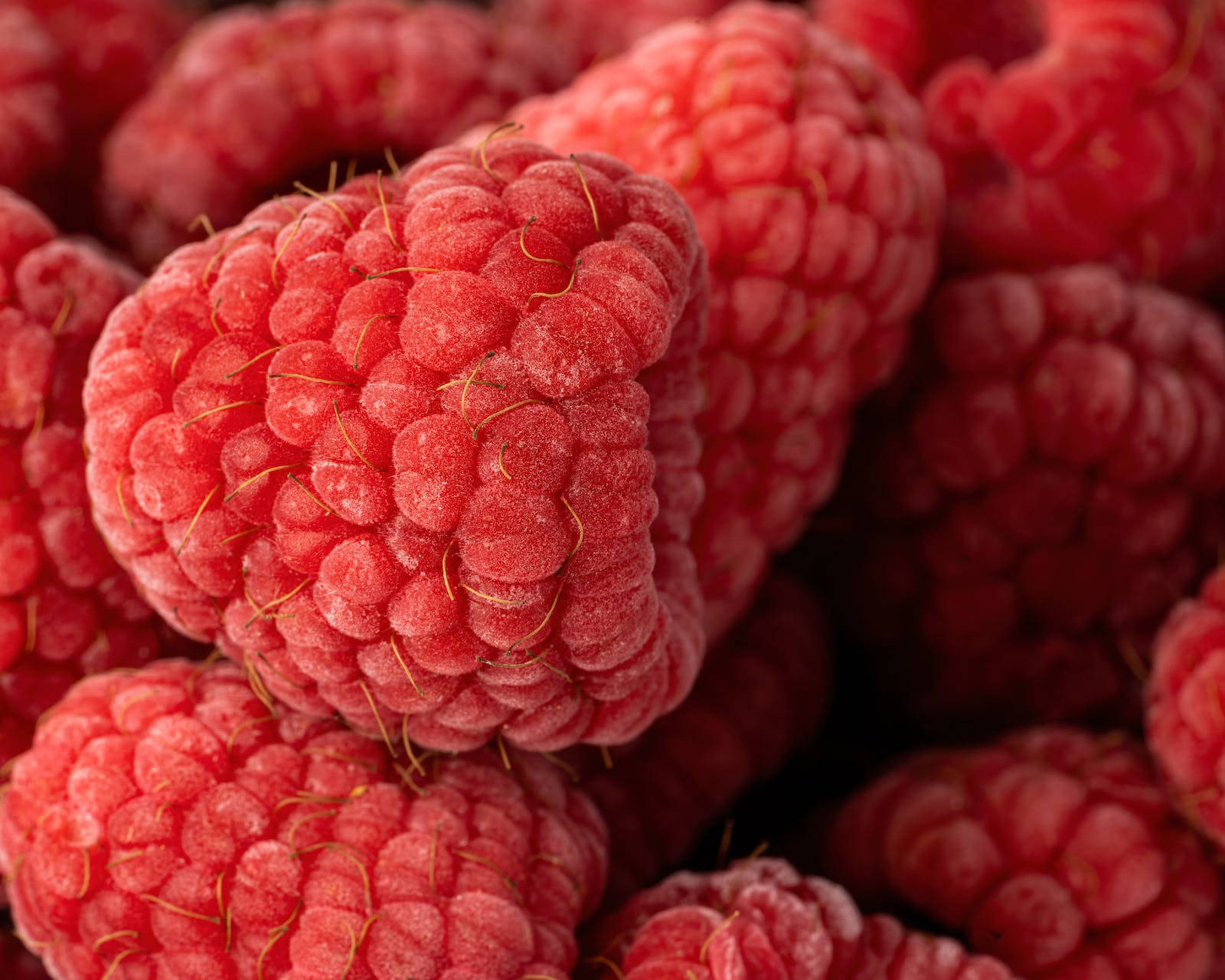 Red Ripe Raspberries Food Desktop