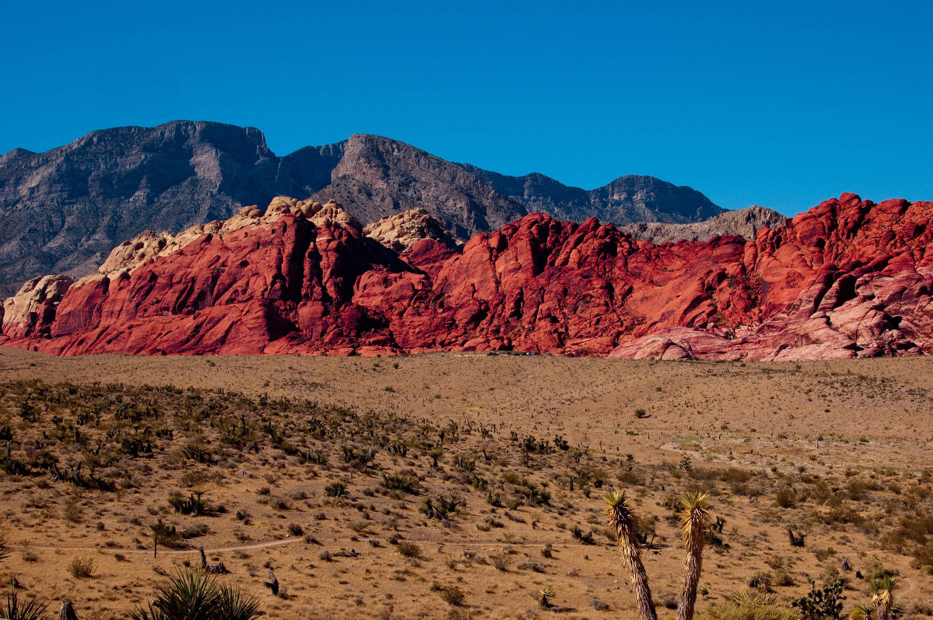Stupendopaesaggio Desertico Della Red Rock Canyon Sfondo