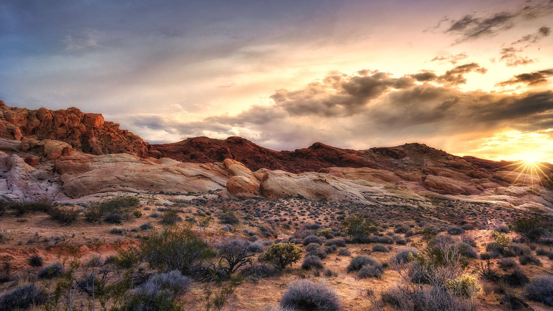 Formazionidi Rocce Rosse E Felci Del Deserto Sfondo