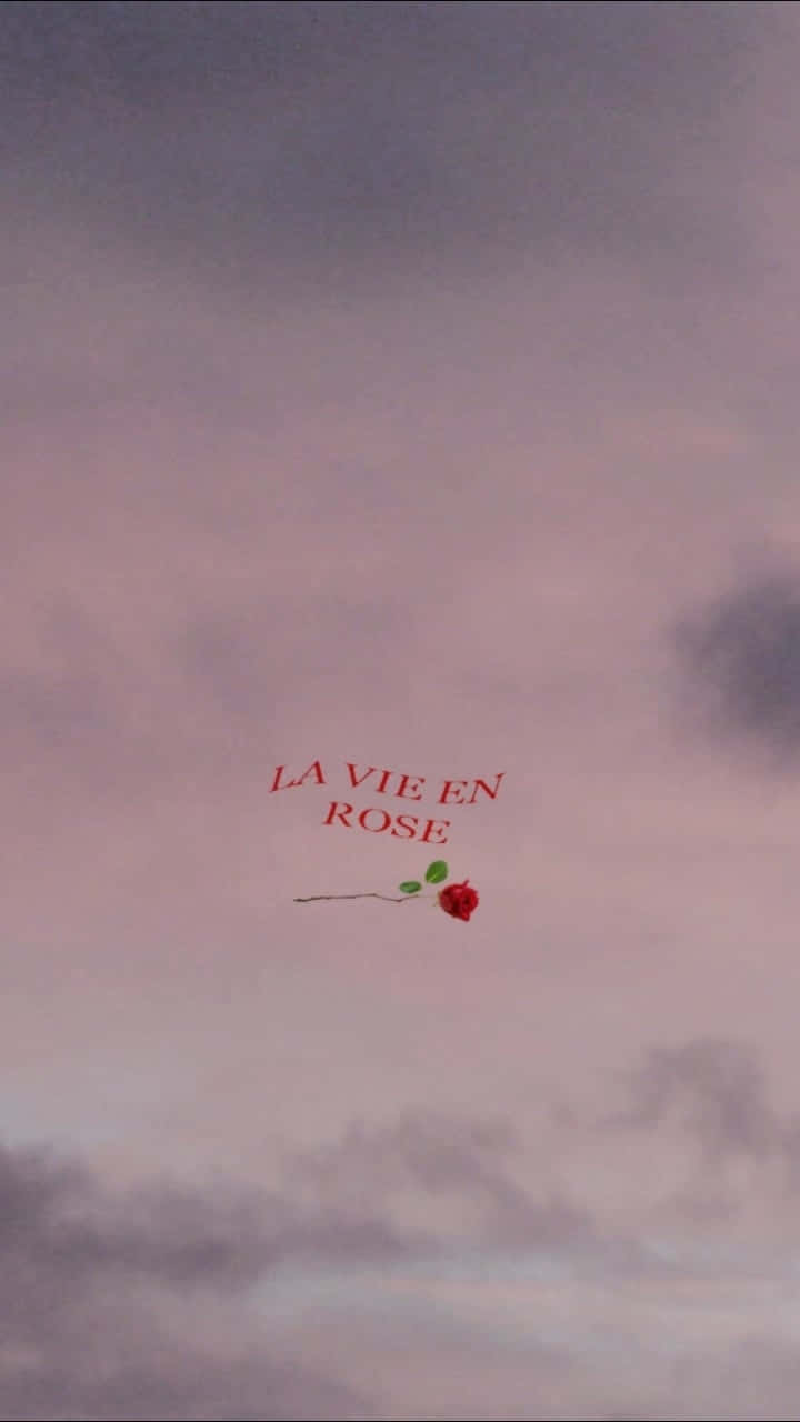 Einerote Rose Fliegt Am Himmel. Wallpaper