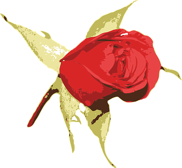 Red Rose Artistic Vector Illustration PNG
