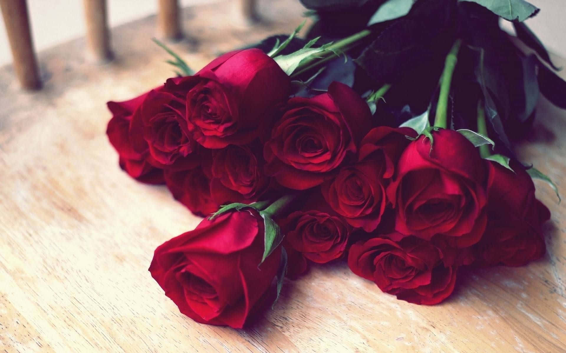Unahermosa Rosa Roja, Simbolizando Amor Y Aprecio.