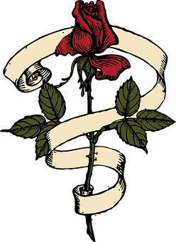 Red Rose Black Background Illustration PNG