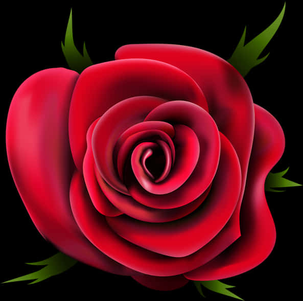 Red Rose Black Background PNG