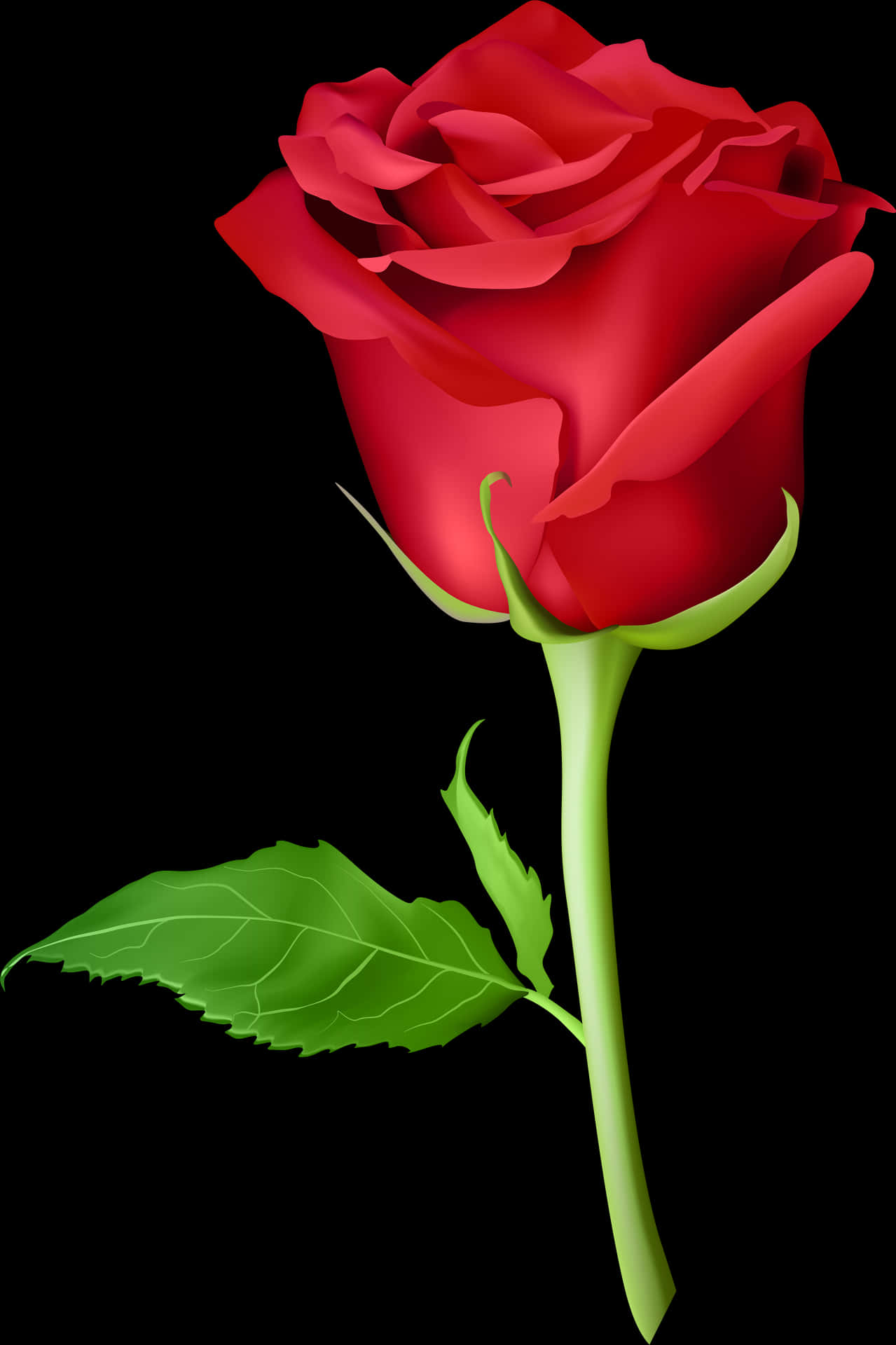 Red Rose Black Background PNG