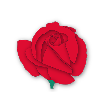 Red Rose Black Background PNG