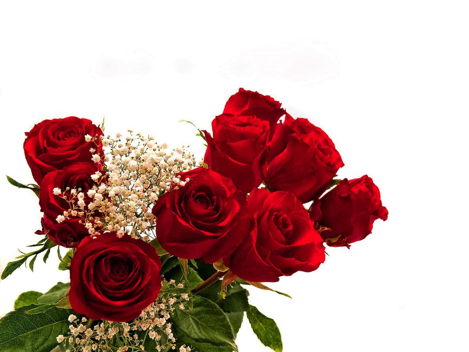 Red Rose Bouquet With Gysophila Wallpaper
